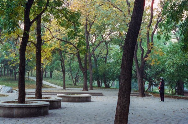 Welche Strategien kÃ¶nnen Gesundheitsexperten zur StressbewÃ¤ltigung anwenden?